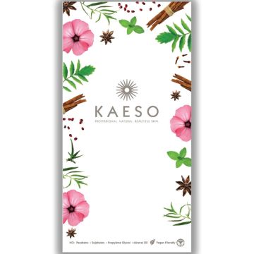 Kaeso Brochure