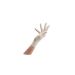 Latex handschoenen 100 stuks - maat L