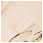 Highlighting Complexion Corrector Gold thumbnail